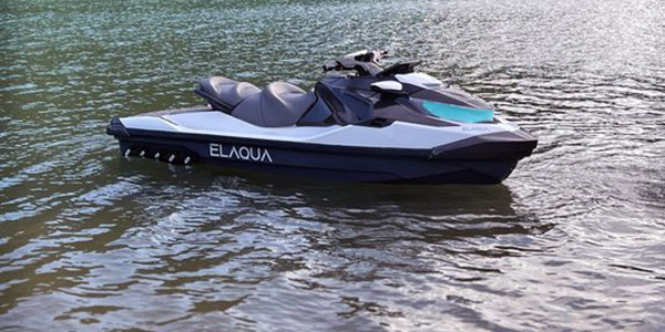 Elaqua PWC