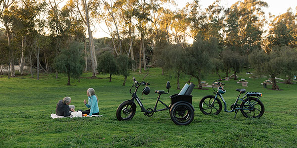 Fat Tire Trike